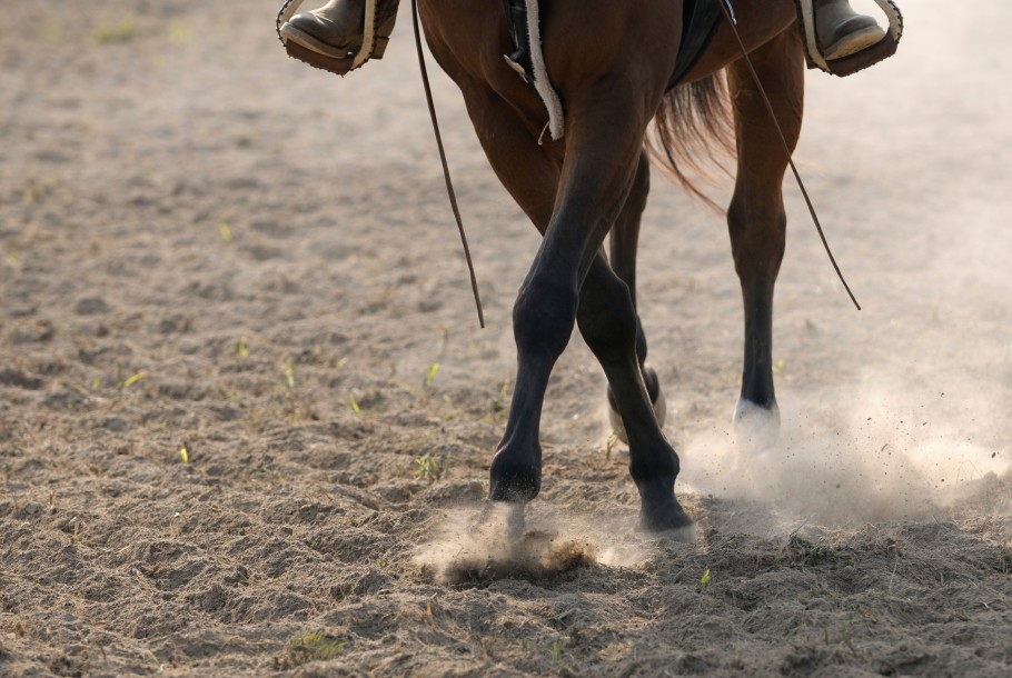 western horse crossing over front legs
