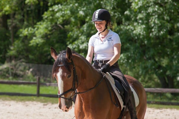 Equipment Shopping List for New Horse Owners - SmartPak