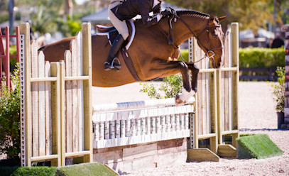 Calm Starts With You: How to Keep Horse Show Nerves from Affecting Your Ride