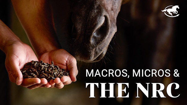 The Horse HealthCast by SmartPak: Macros, Micros & the NRC