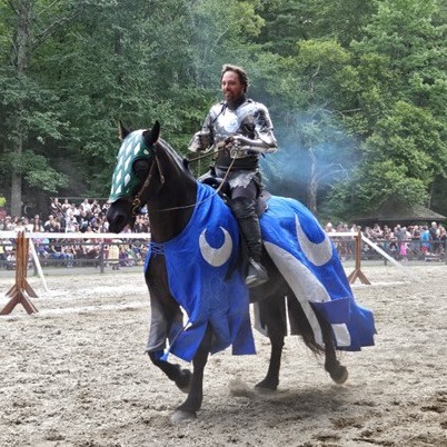 Knight in blue colors on dark horse