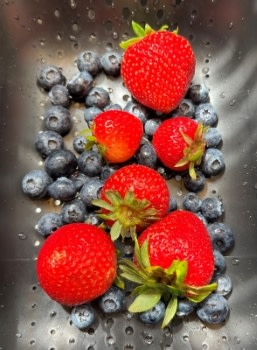 Dog frozen smoothie treats ingredients strawberries and blueberries (resized)