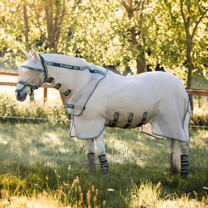 Rambo bug buster fly sheet on a horse