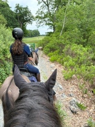 Navigating Fear on Trail Rides