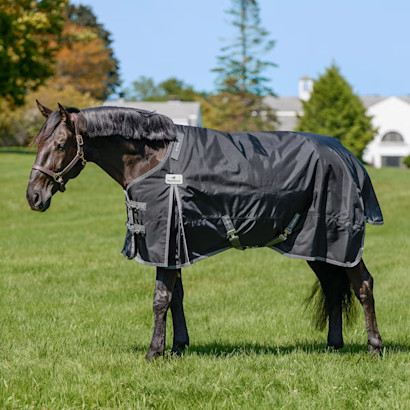 A bay horse wearing the SmartEquine Ultimate Turnout Blanket