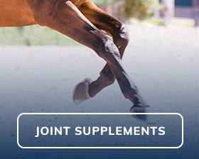 Joint Supplements