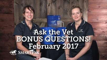 Ask the Vet BONUS QUESTIONS! – Navicular, Broken 3rd Vertebrae & more! – February 2017