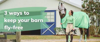 3 ways to keep your barn fly-free
