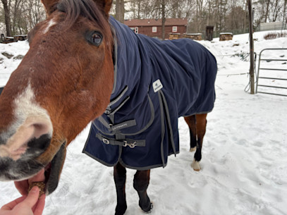 SmartPaker (Alissa) Product Review: SmartEquine Ultimate Turnout Blankets