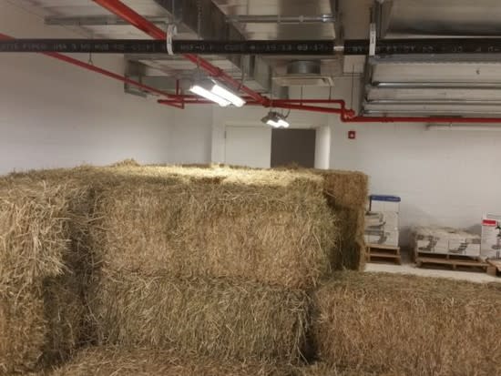 hay bales stacked in a building