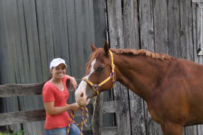 Rocki’s Winter Closet – Finding the right blanket for a stocky horse