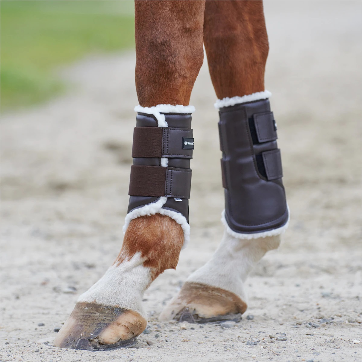 Pasture boots for on sale horses