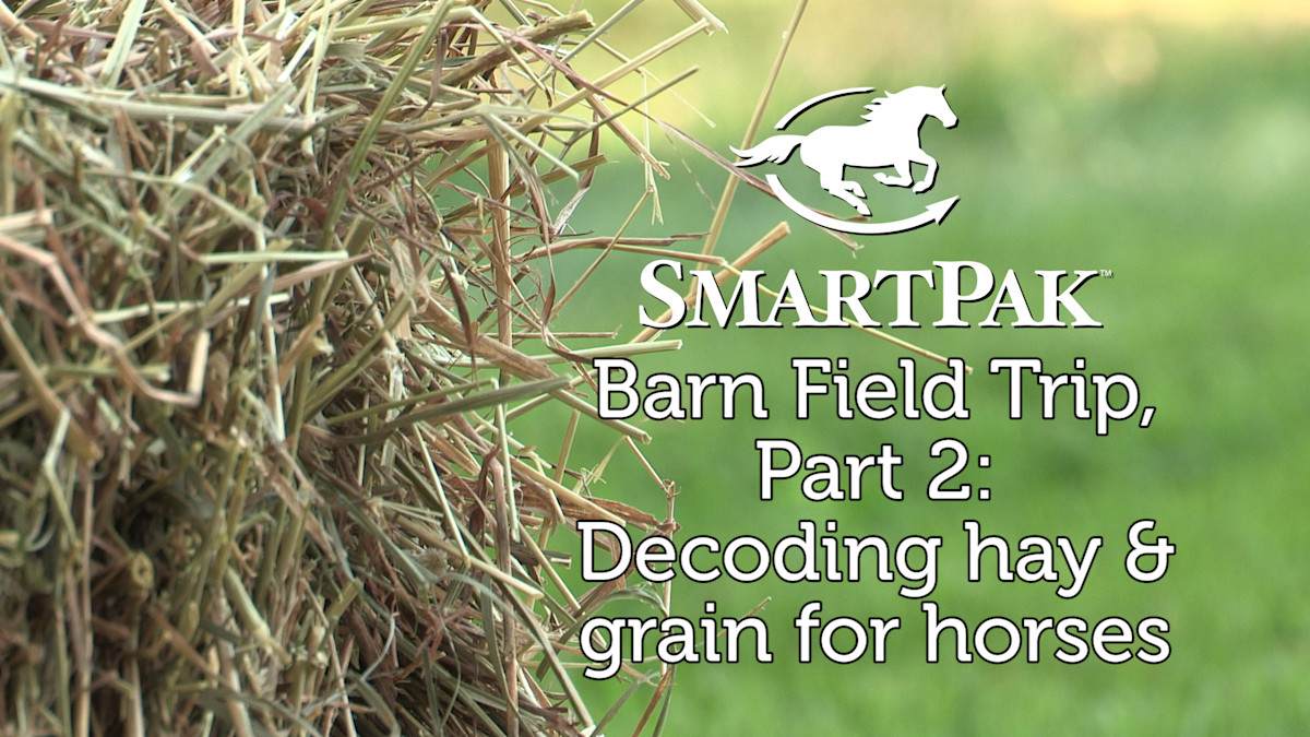 SmartPak Barn Field Trip, Part 2 Decoding hay and grain for horses