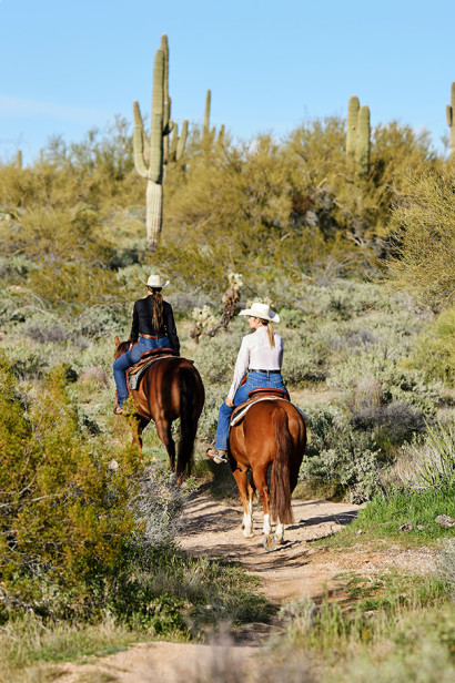 Western horses and riders going up a hill on a trail ride in Arizona.