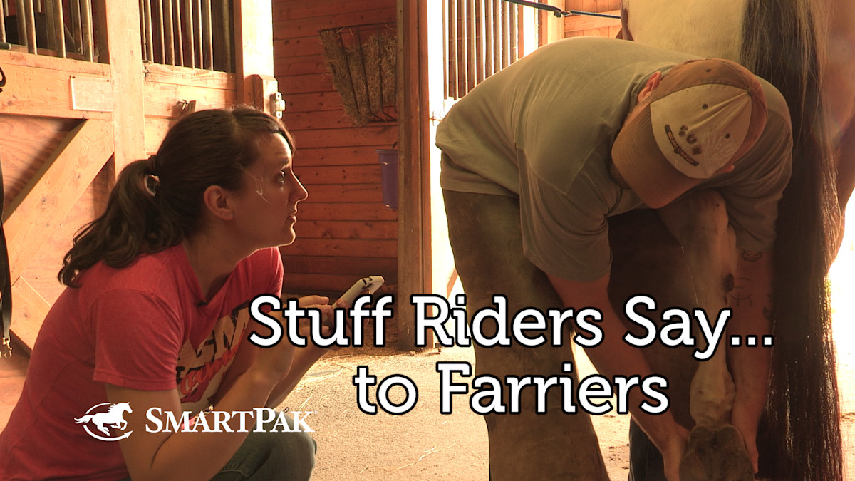 Stuff Riders Say Farriers Edition SmartPak Blog