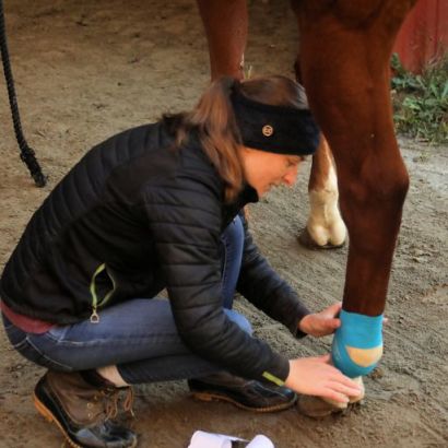 woman applying kinesiology therapeutic tape to a horses hind fetlock