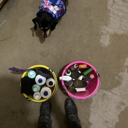 a dog standing next to two buckets with cleaning and washing supplies