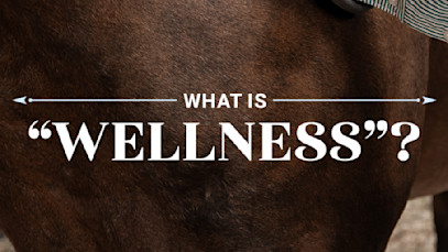 What Is Wellness at SmartEquine?