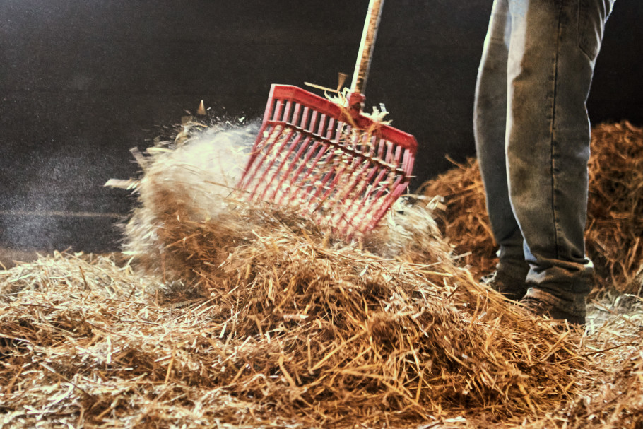 pitch fork cleaning a horse stall with straw bedding