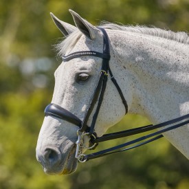 A grey horse in a black double bridle with a blind browband.
