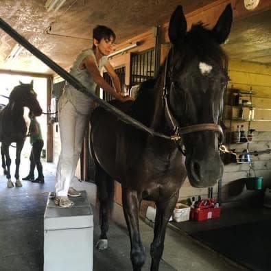 veterinary chiropractor on a block adjusting a horse's back