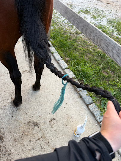 Tackling Tails: Protection for Bugs and Breakage