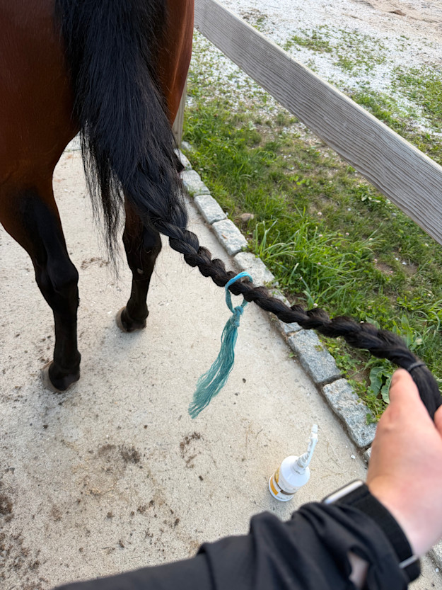 Tackling Tails: Protection for Bugs and Breakage