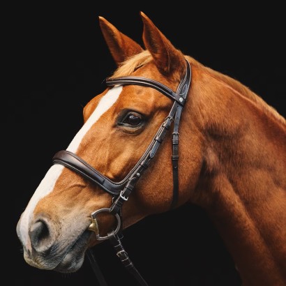 A chestnut horse with a white blaze wearing an english bridle