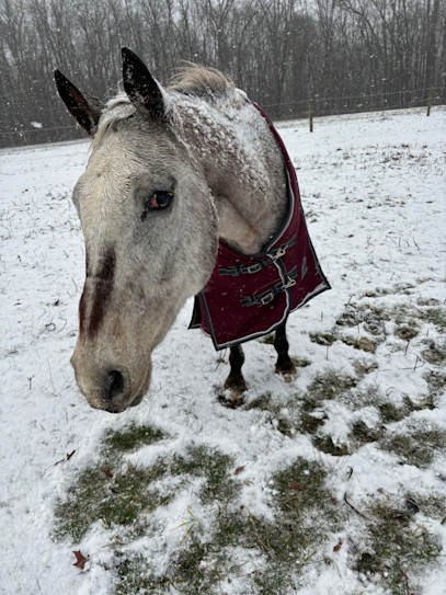 Peek in Our Paks: Ali A. & Cody