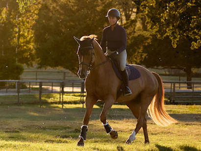 Chestnut horse and rider cantering at sunrise
