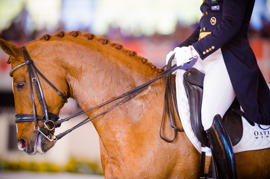 Dressage button braids on a chestnut horse in the show ring.