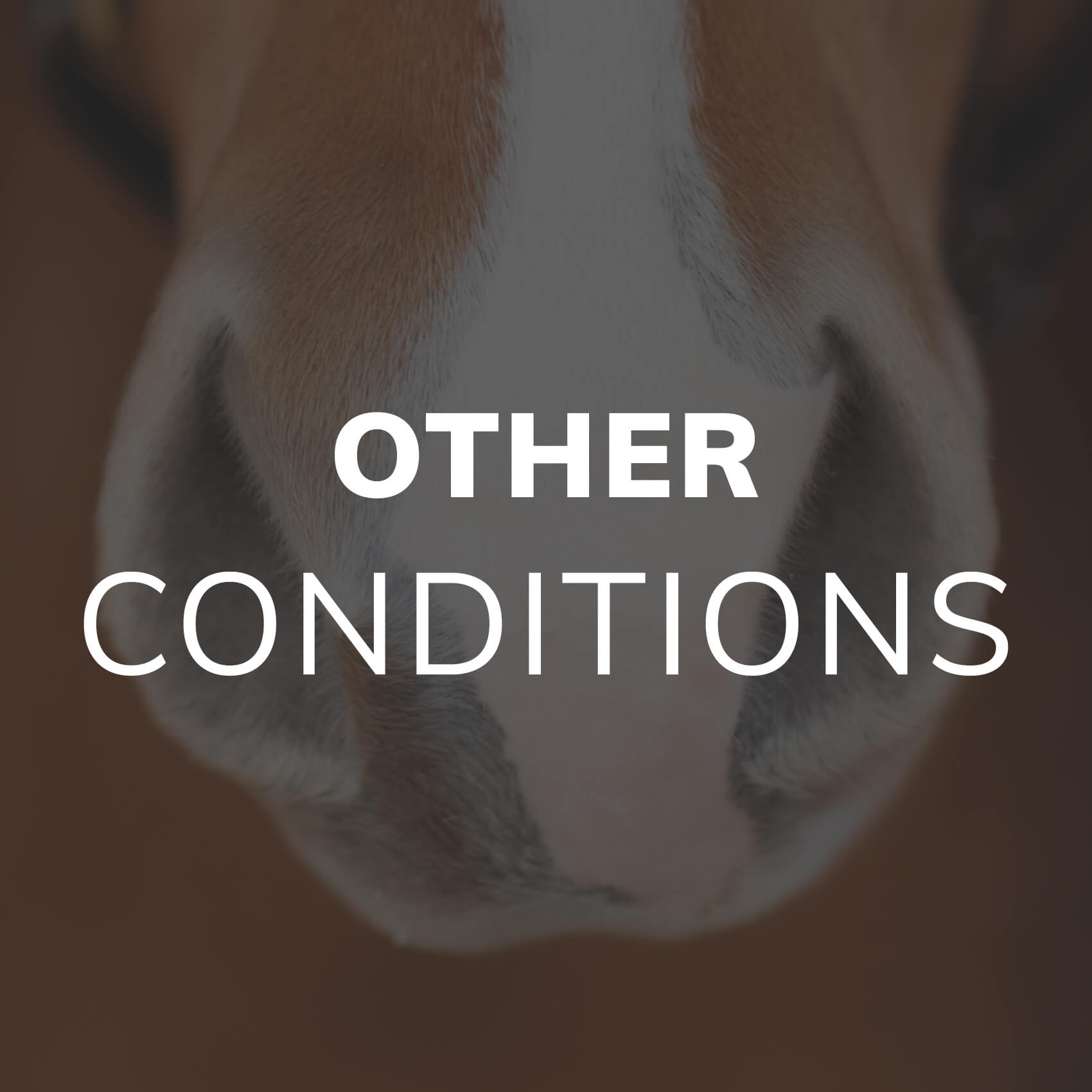 Other Conditions