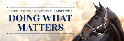 Spend less time worrying and more time doing what matters