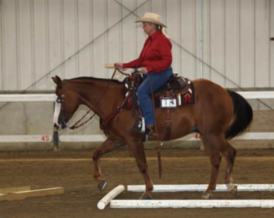 A sorrel QH with a white blaze steps carefully over a white pole on the ground. His rider, in jeans, a red longsleeve button down, and light tan cowboy hat, guides him. 