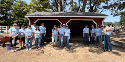Giving Back at New England Equine Rescue 