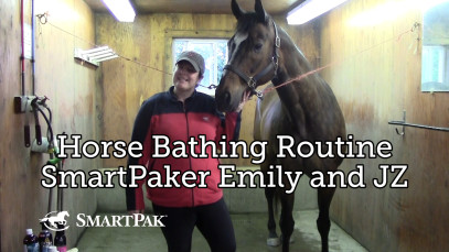 Horse Bathing Routine – SmartPaker Emily and JZ