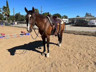 Peek in Our Paks: Macaire F. & Levi