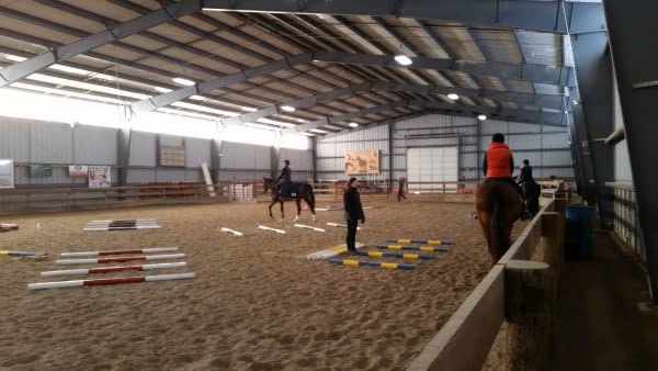 arena course of ground pole exercises for horses