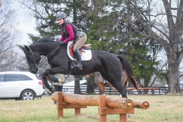 Meet Julie C. and Ingrid | SmartPak Blog