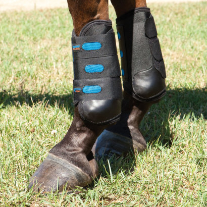 A Guide To Horse Boots: What Type & Style Should I Choose? – R & R Country  Blog