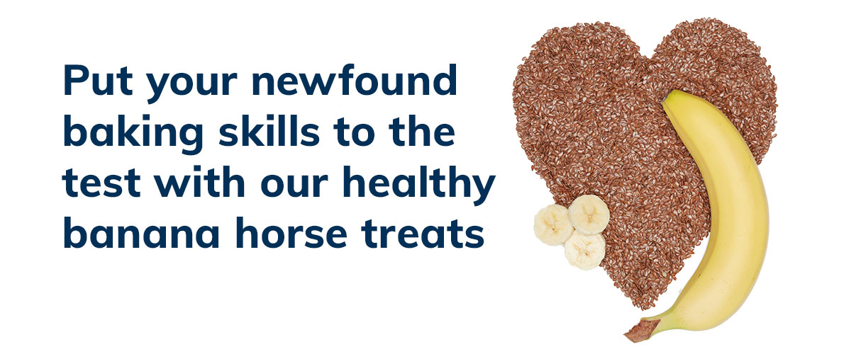 SmartPak Recipe Healthy Banana Horse Treats SmartPak Blog