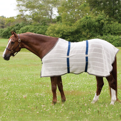 baker anti-sweat sheet on a horse