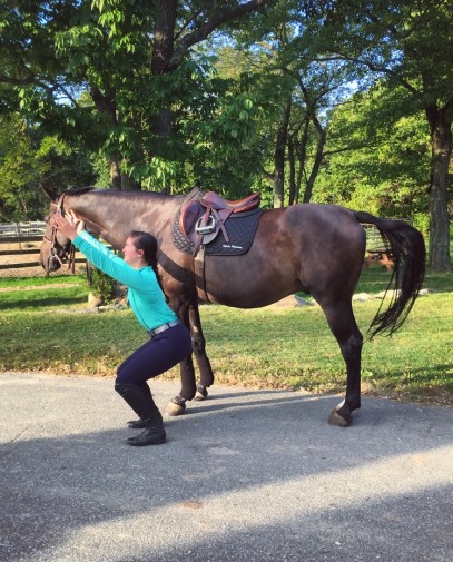 Yoga for the (Not Very Flexible) Equestrian