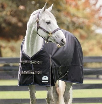 Gray horse wearing black SmartPak Ultimate Turnout Blanket product shot
