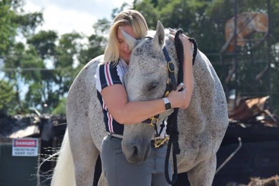 A girl hugging a grey horse. 