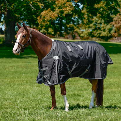 A chestnut horse in the SmartEquine Ultimate WeatherShield Turnout Blanket