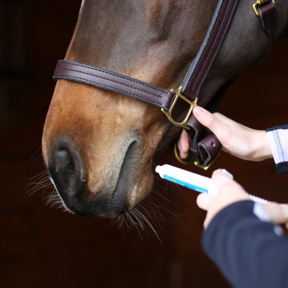 paste supplement being given to a horse