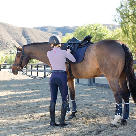 dressage horse and rider getting ready to ride