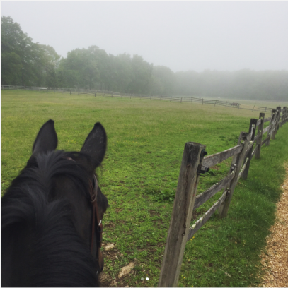 What I’ve Learned Since I Quit Horse Showing