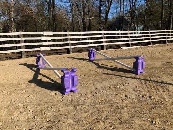 bounce jump exercise for horses